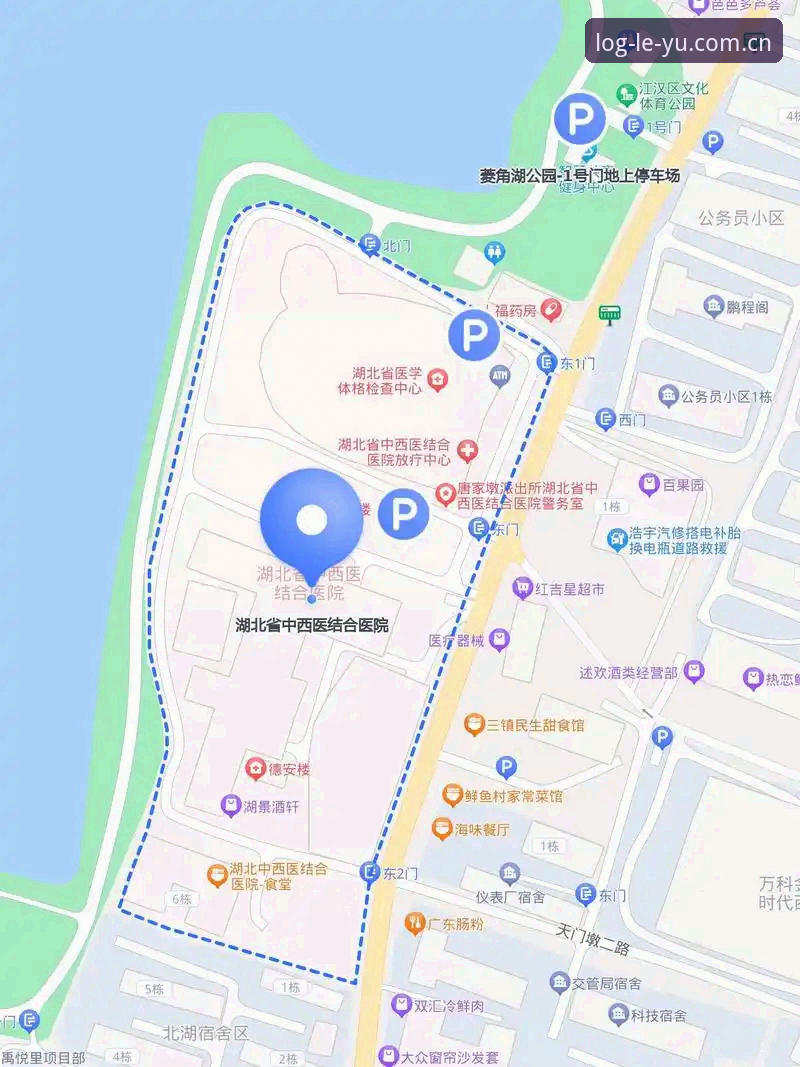 乐鱼体育好用吗怎么样 乐鱼体育平台使用教程与真实体验分享:从注册到日常操作的完整指南
